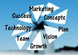 武漢服裝品牌創(chuàng)業(yè)之路 市場(chǎng)調(diào)研的關(guān)鍵作用與成功案例分析